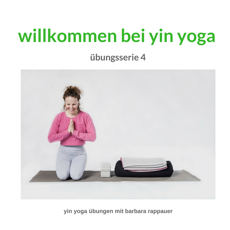yin yoga powered by poweryoga vienna